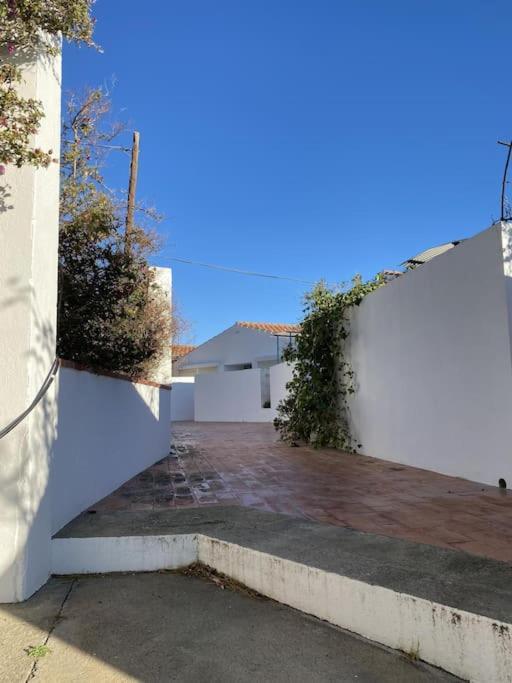 Tusquets - Apartamento Con Vistas Al Mar Cadaqués Dış mekan fotoğraf